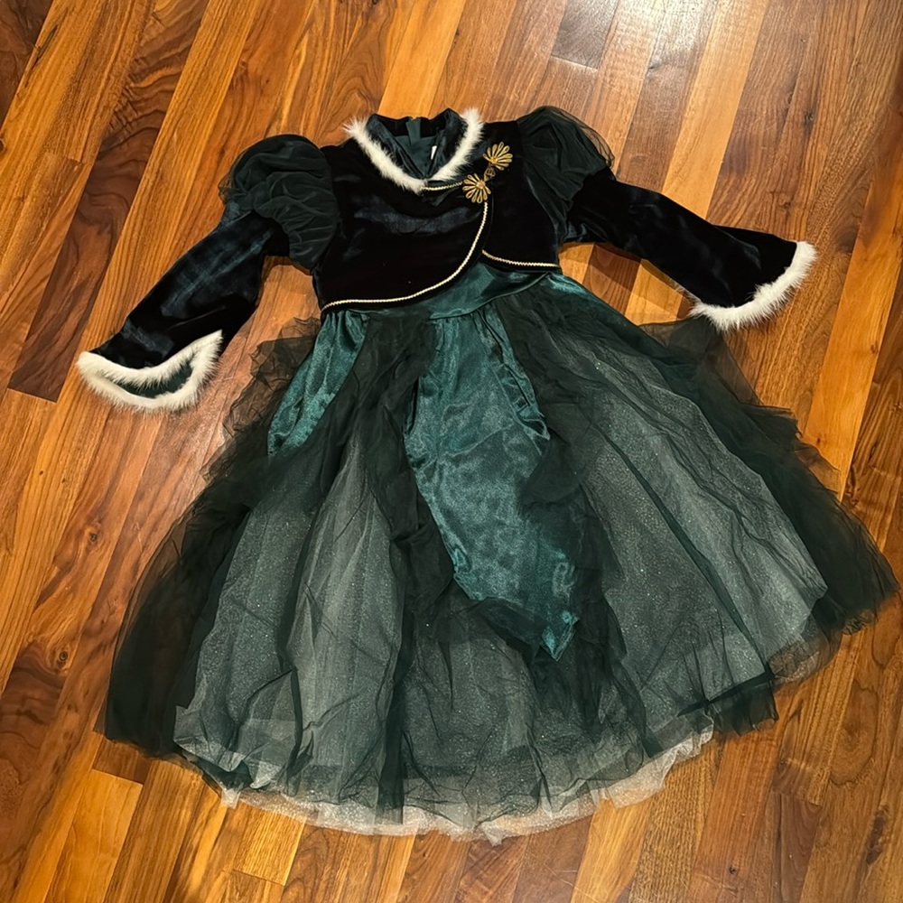 Frozen Anna dress ( good for 100-110cm girl)